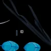 zweedse zwembril aqua